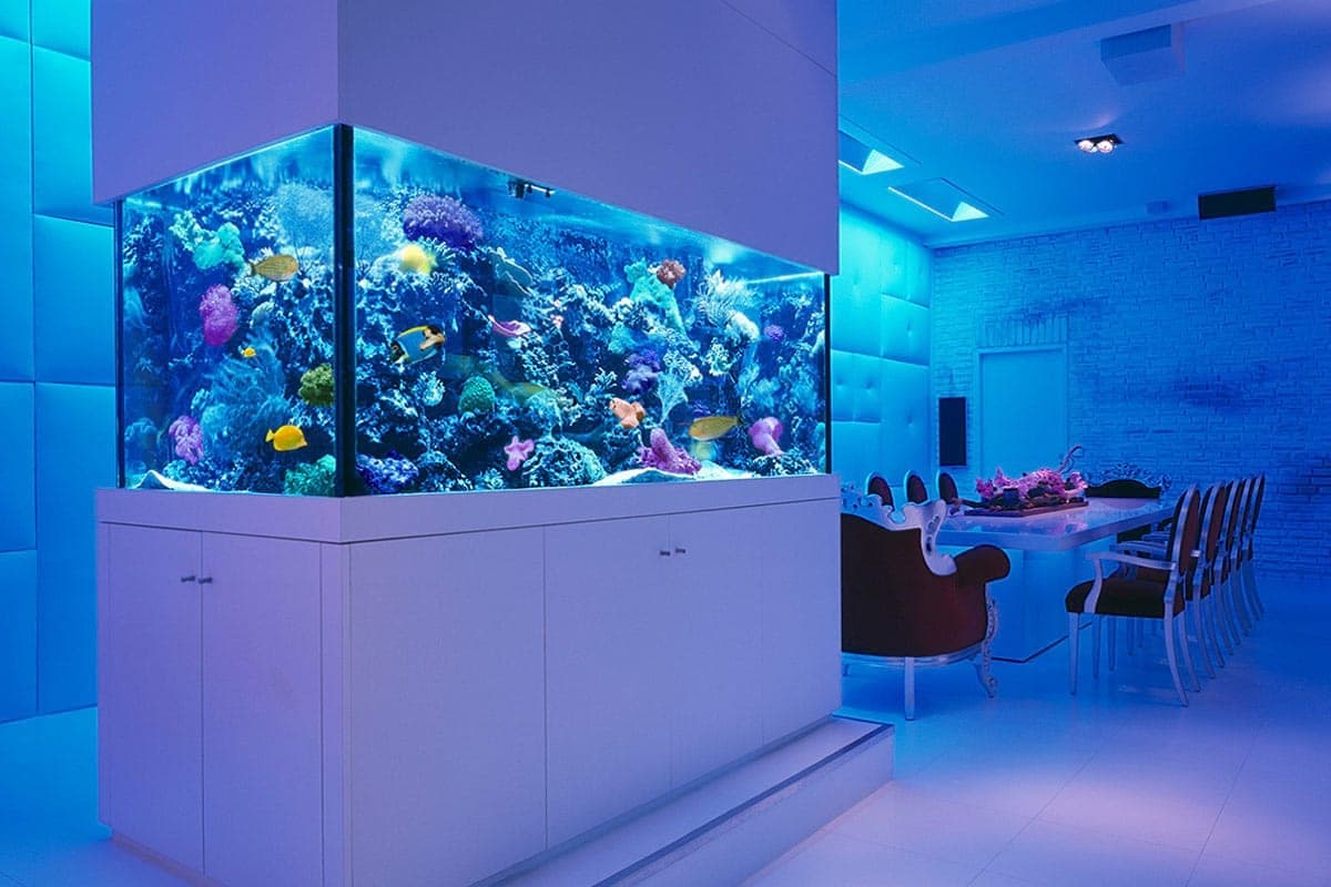 The Size of the Fish Tank Should be Selected According to the Actual Situation