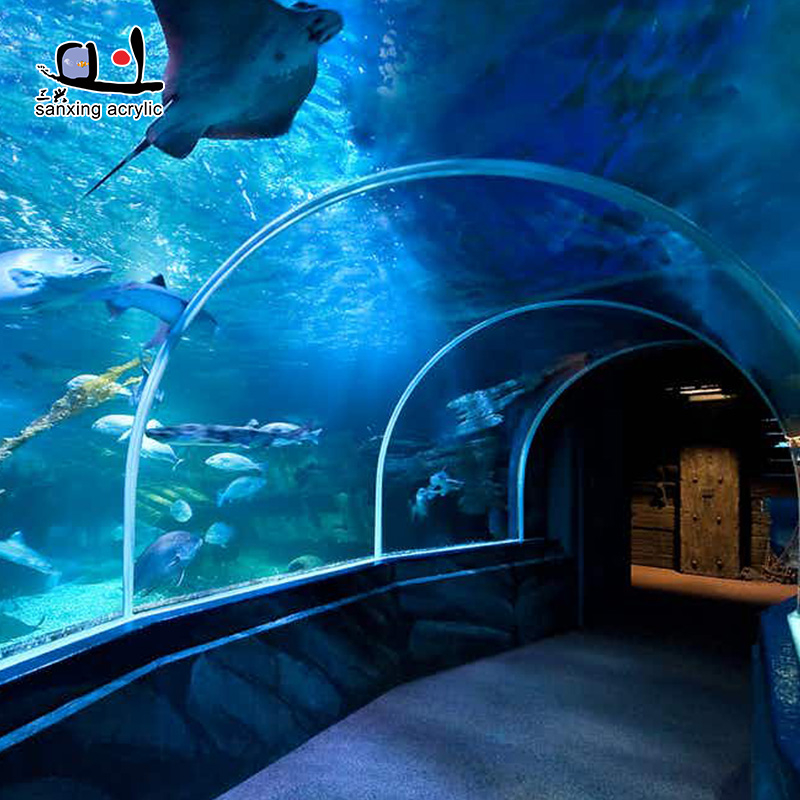 Acrylic tunnel in public aquarium of oceanarium 